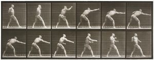 Eadweard Muybridge’s zoopraxiscope photographic Image of a Nude man striking a blow with right hand (Animal Locomotion, 1887, plate 344)