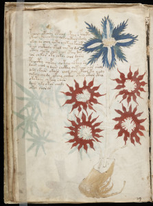 Image of Voynich Manuscript
