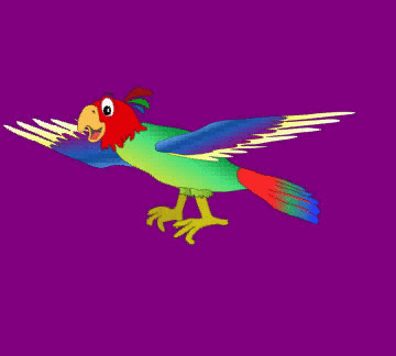 Animated gif image of parrot flying.