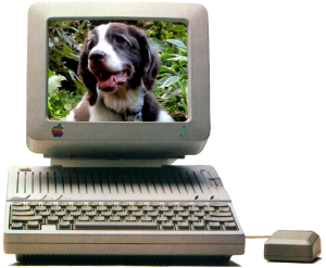 Photo of dog on screen of Apple Iic monitor by believekevin on Flickr.