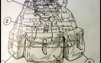 Four Pounds of Nuts: Exploring “The Lean Startup” through Nature, Part II