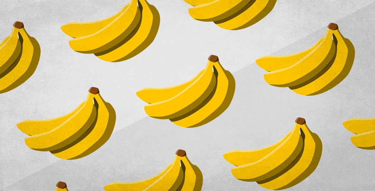 Bananas - illustration