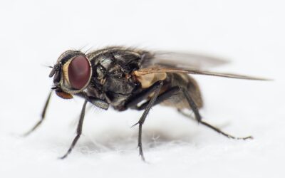 Smarter Debugging with Unified Logging & Activity Tracing