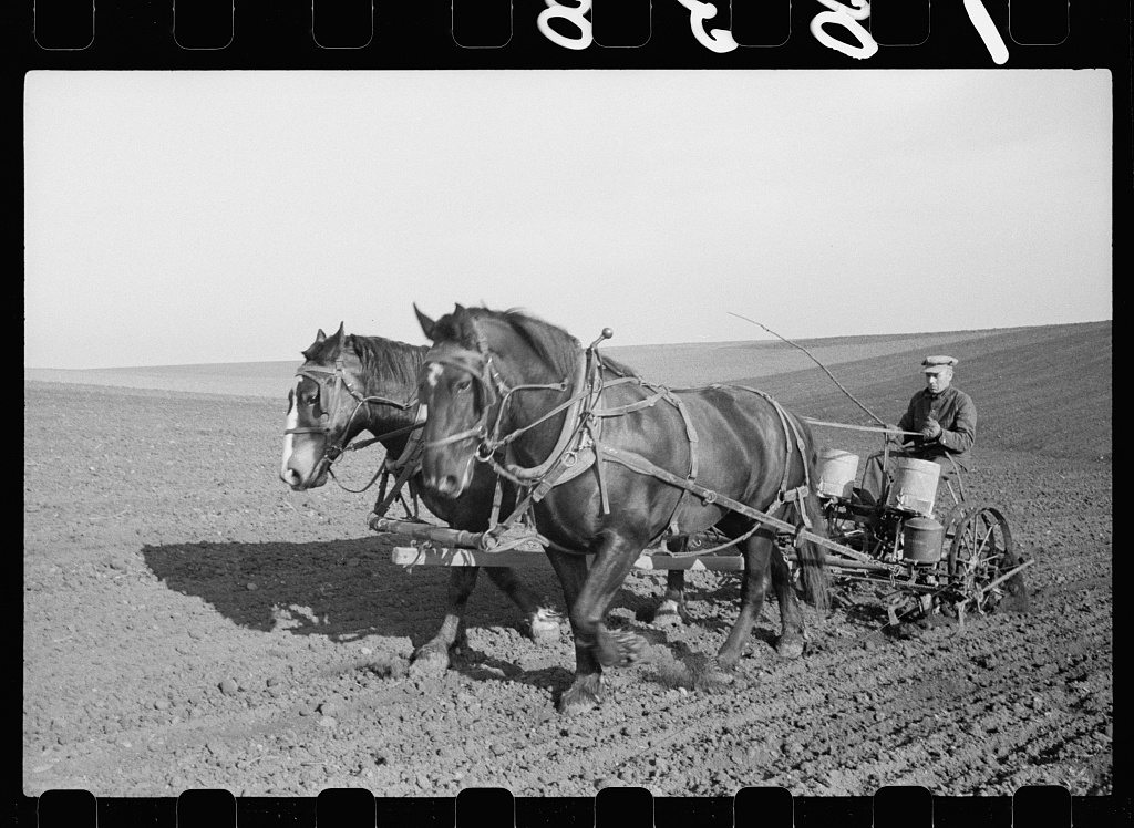 Corn planting, Jasper County, Iowa—1940 by Vachon, John, 1914-1975, photographer